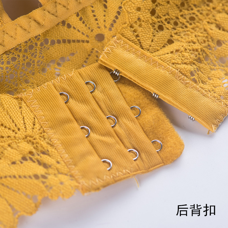 3D Sexy girl lace Lingerie Sea - đánh giá và giá Sheer Bra Lace