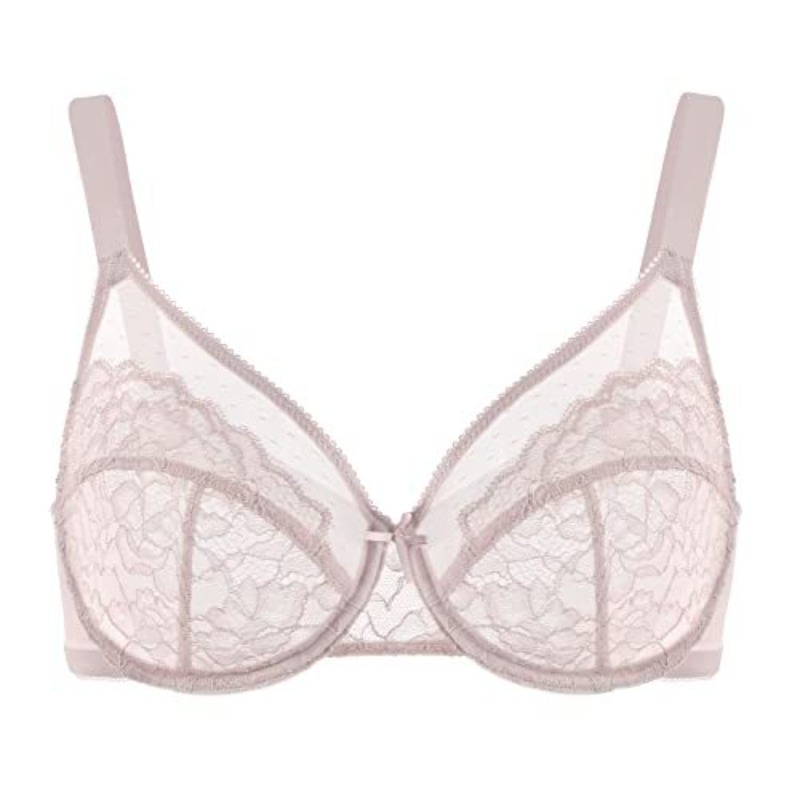 Plus Size Lace Bra French Push - đánh giá và giá Sheer Bra Lace